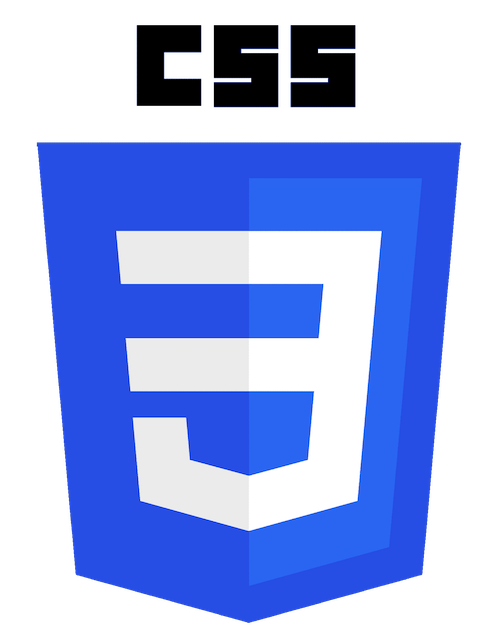 CSS